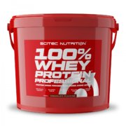 Whey Protein Professional