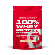 Whey Protein Professional
